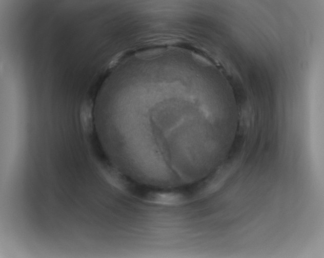 X0000112420360200908141415