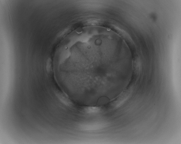 X0000112420361200908141415