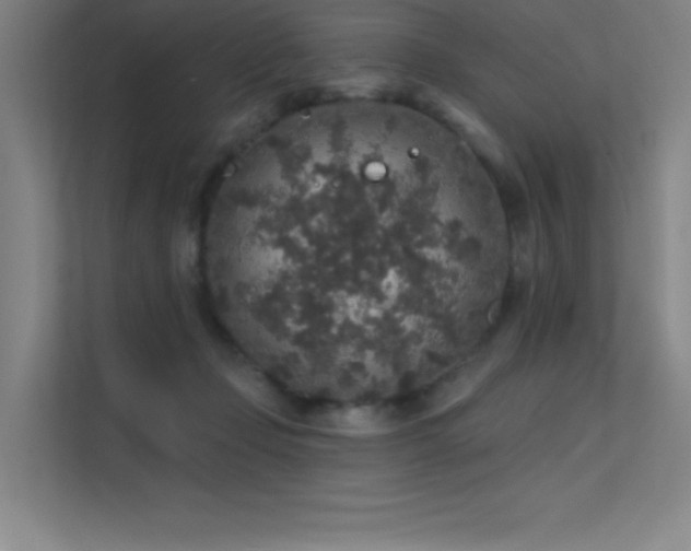 X0000112420365200908141415