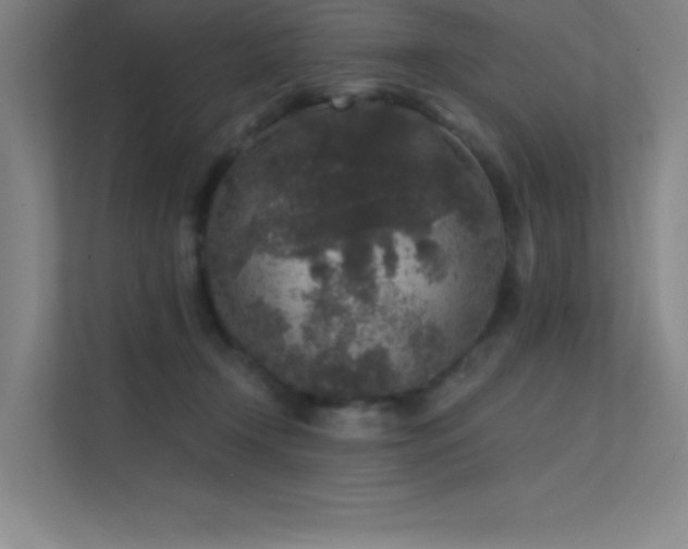 X0000112420366200908141415