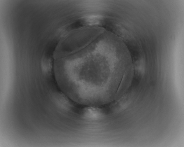 X0000112420372200908141416
