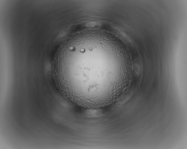 X0000112420375200908141416