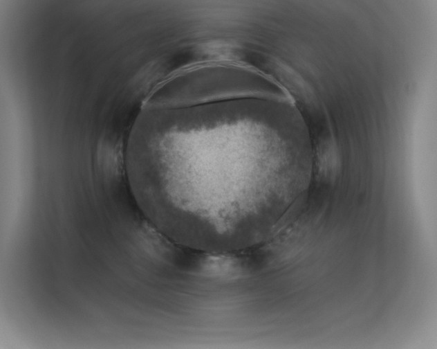 X0000112420376200908141416