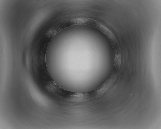 X0000112420381200908141416