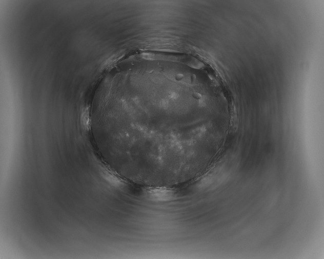 X0000112420383200908141416