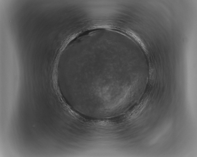 X0000112420385200908141415