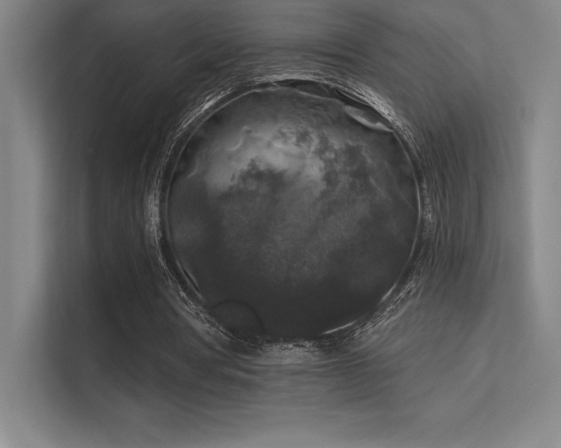 X0000112420386200908141415