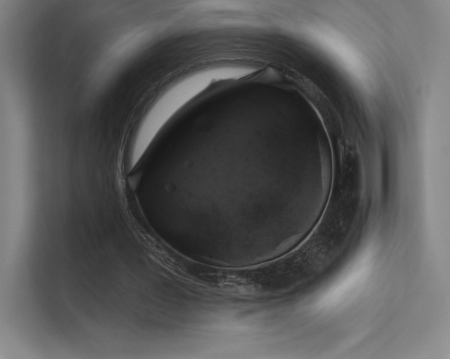 X0000112420387200908141415