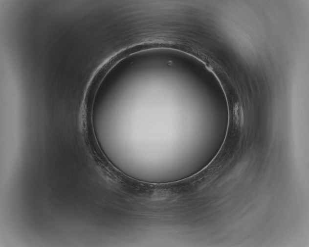 X0000112420388200908141415