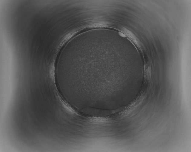 X0000112420389200908141415