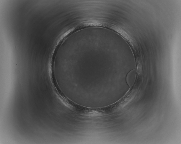 X0000112420390200908141415