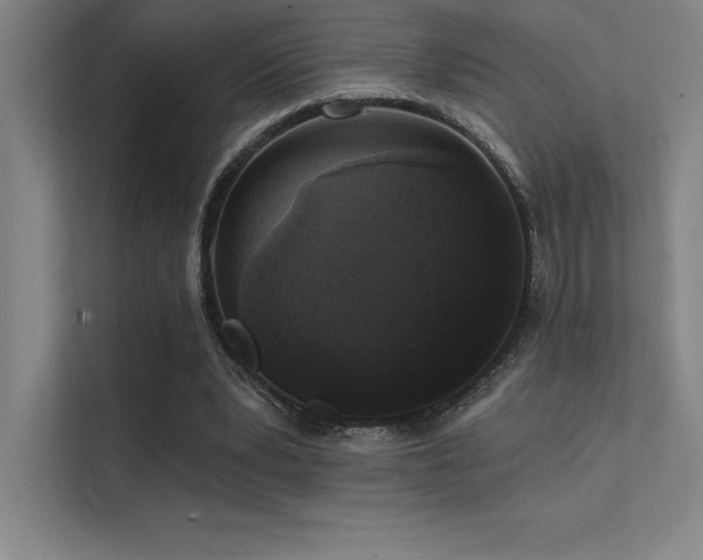 X0000112420391200908141415
