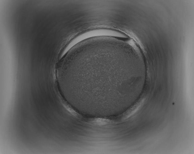 X0000112420393200908141415