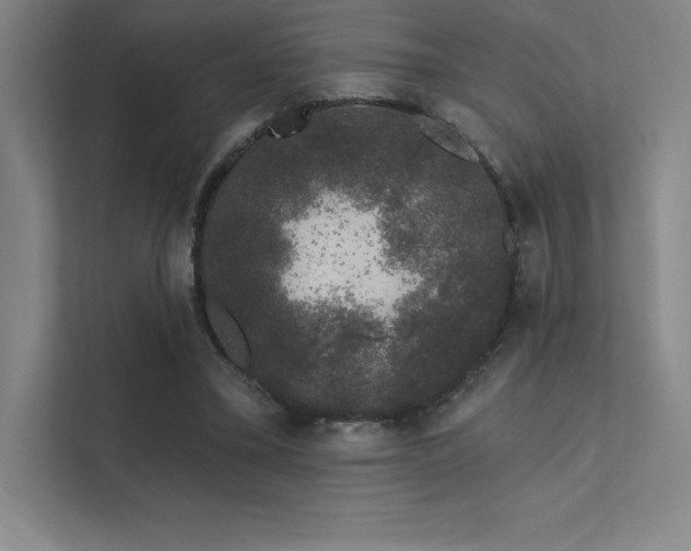 X0000112420395200908141415