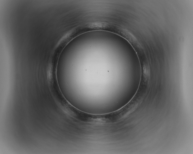 X0000112420396200908141415