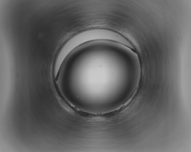 X0000112420397200908141415