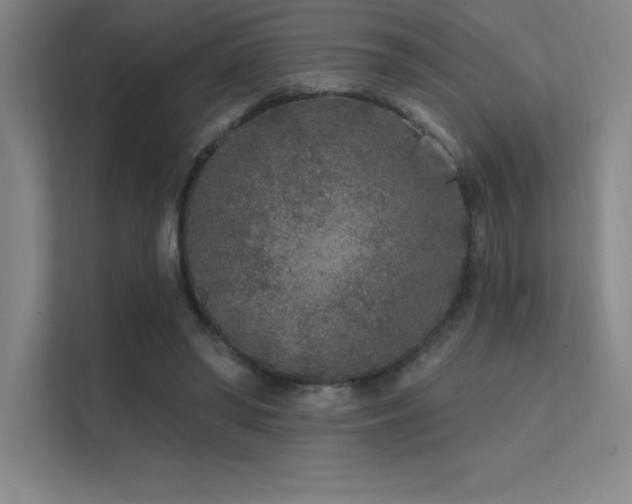 X0000112420398200908141415