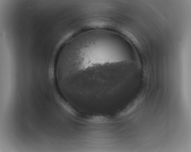 X0000112420399200908141415