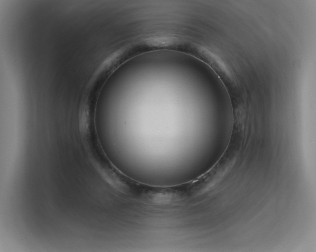X0000112420400200908141415