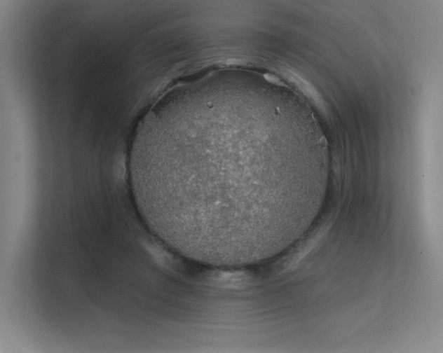 X0000112420401200908141415