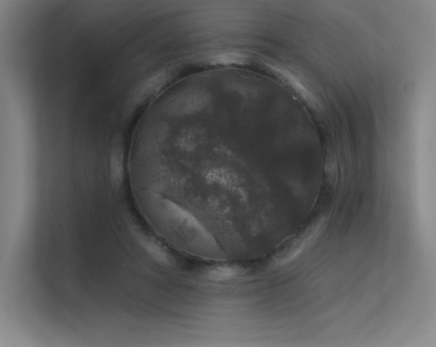 X0000112420402200908141415