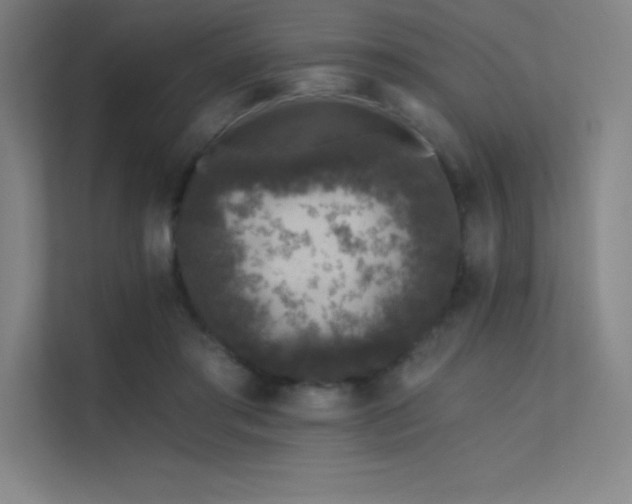 X0000112420405200908141415