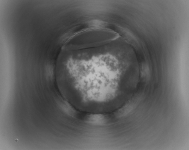 X0000112420409200908141415