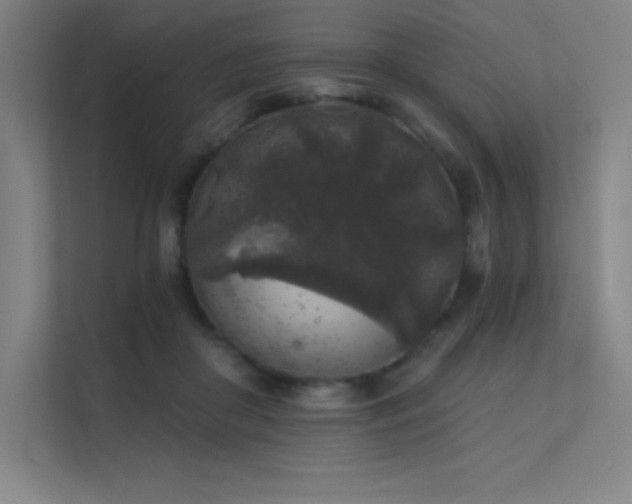 X0000112420410200908141415
