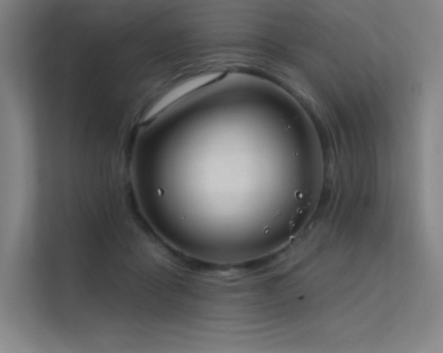 X0000112420411200908141415