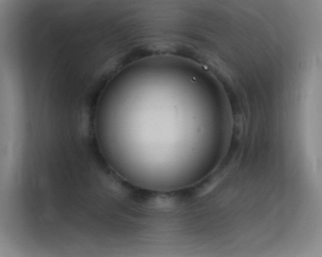 X0000112420416200908141415