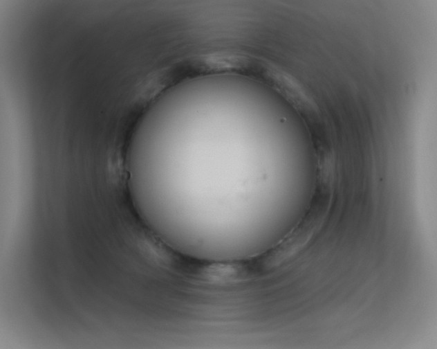 X0000112420418200908141415