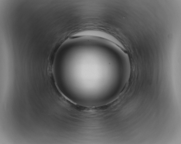 X0000112420419200908141415