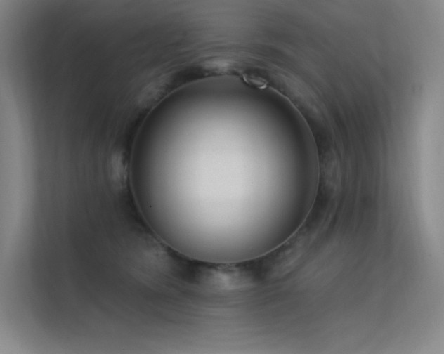 X0000112420420200908141415