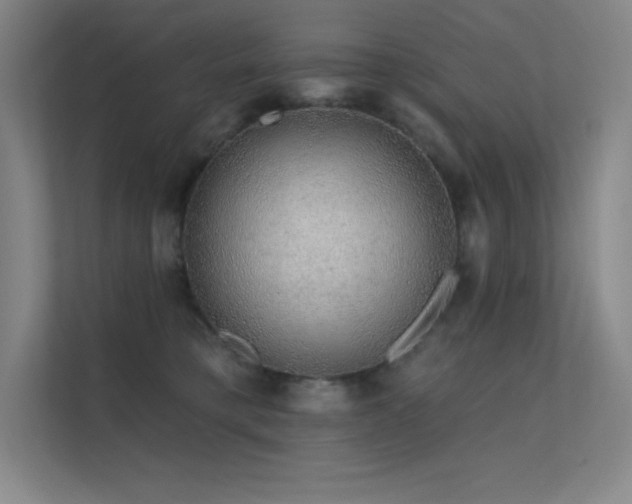 X0000112420421200908141415