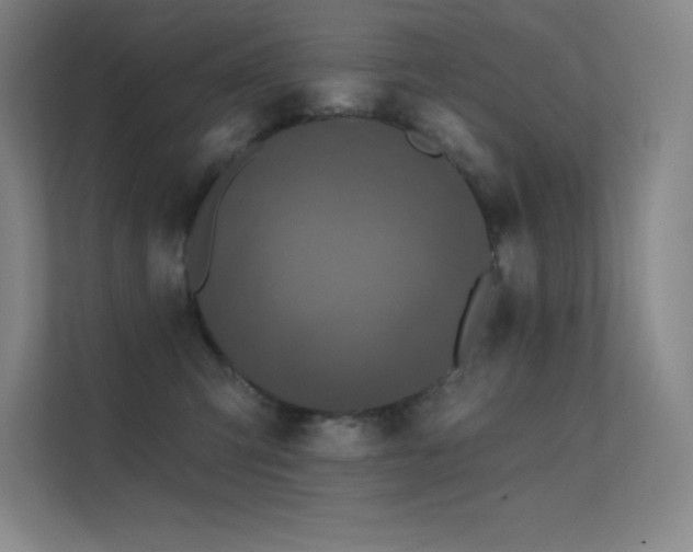 X0000112420423200908141415