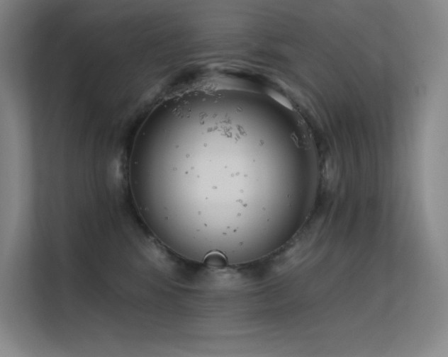 X0000112420424200908141415