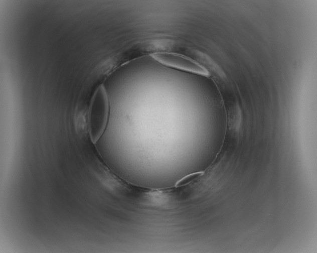 X0000112420425200908141415