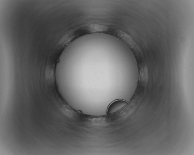 X0000112420426200908141415