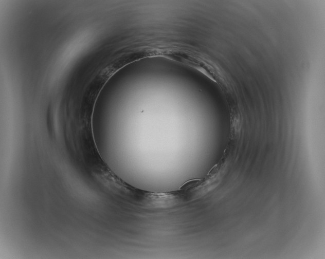 X0000112420429200908141414