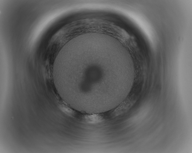 X0000112420431200908141414
