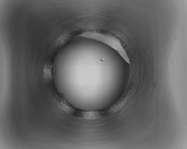X0000112420432200908141414