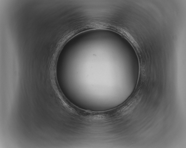 X0000112420433200908141414