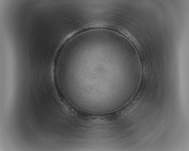 X0000112420434200908141414