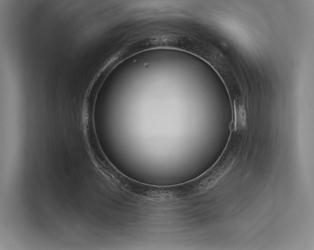X0000112420435200908141414