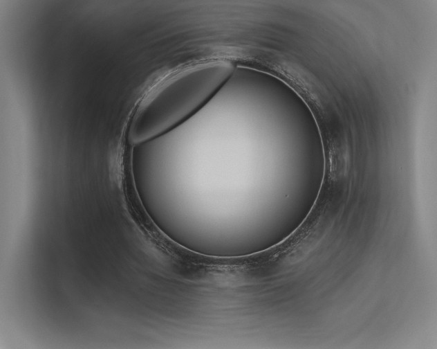 X0000112420436200908141414