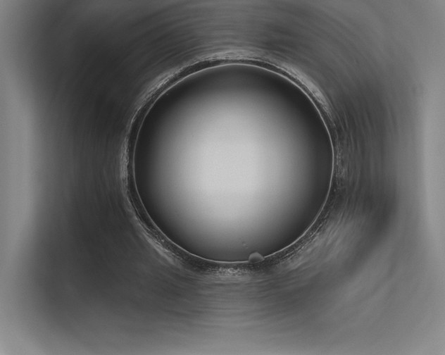 X0000112420437200908141414