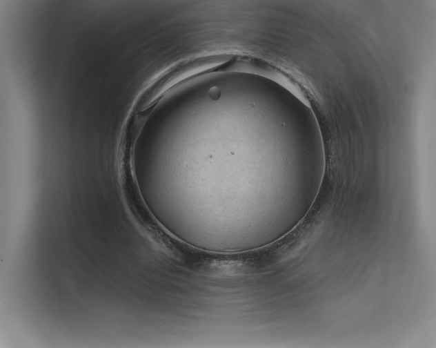 X0000112420440200908141414