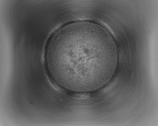 X0000112420443200908141414
