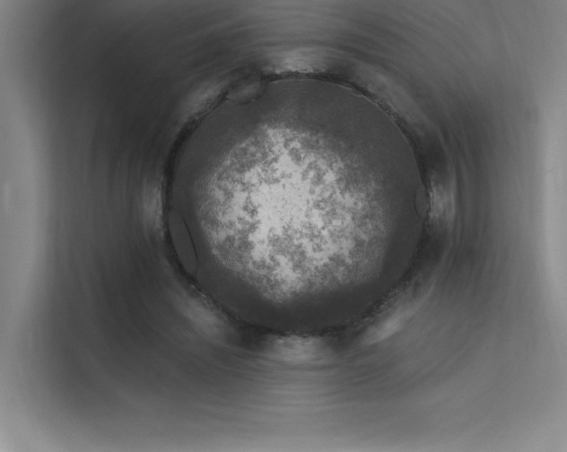 X0000112420444200908141414