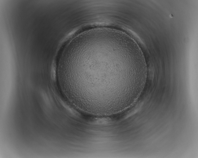 X0000112420446200908141414